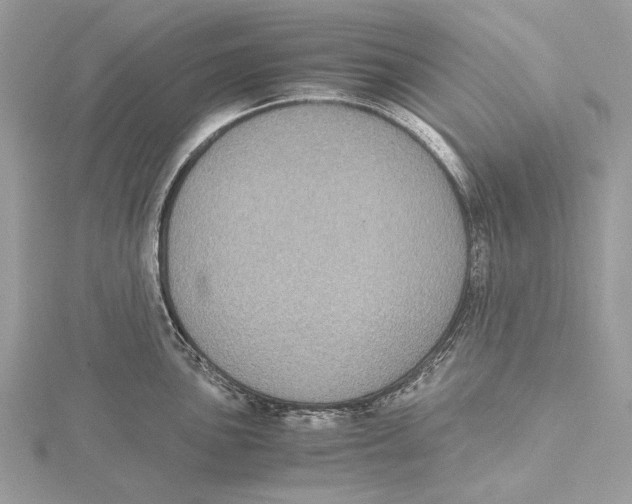 X0000115441051200912020941