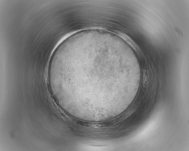 X0000115441052200912020941