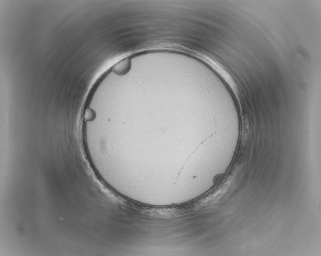 X0000115441053200912020941