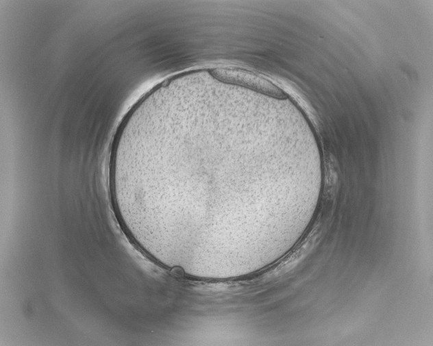 X0000115441054200912020941