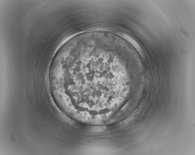 X0000115441055200912020941