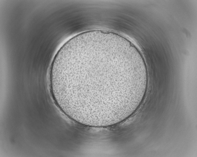 X0000115441056200912020941