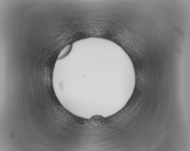 X0000115441058200912020940