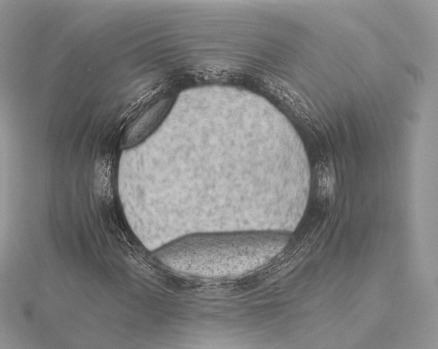 X0000115441060200912020940