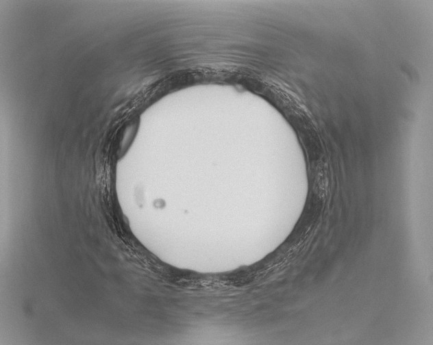 X0000115441061200912020940