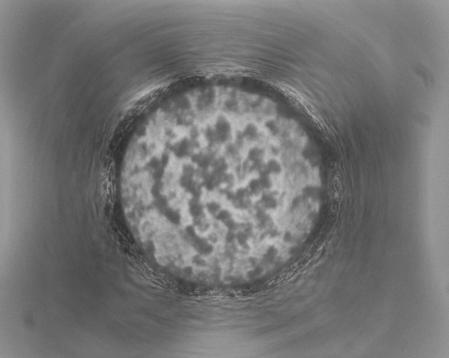 X0000115441063200912020940