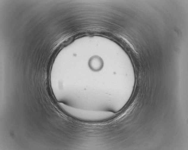 X0000115441065200912020940