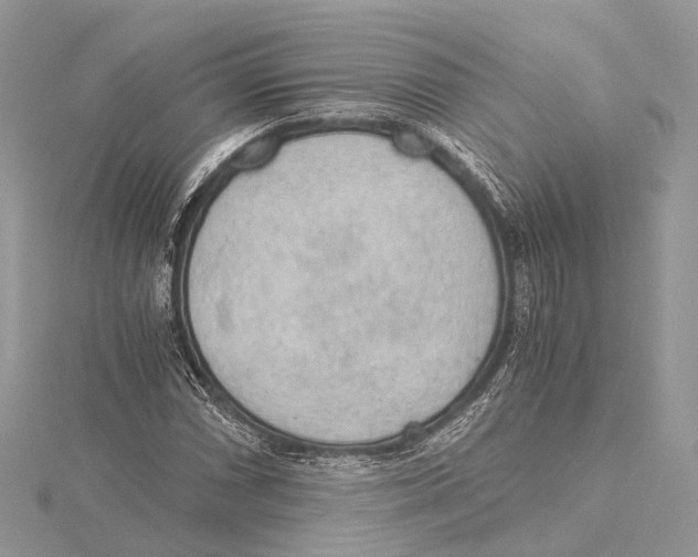 X0000115441066200912020940