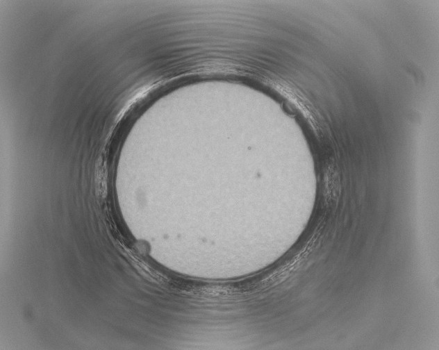 X0000115441067200912020940