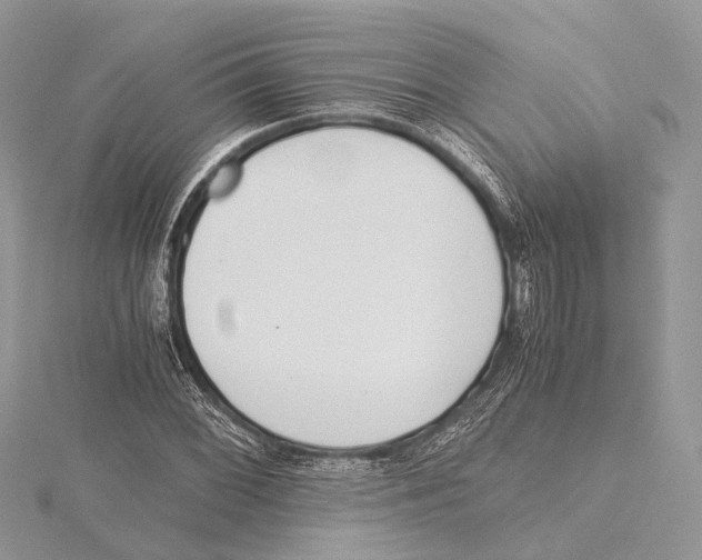 X0000115441068200912020940