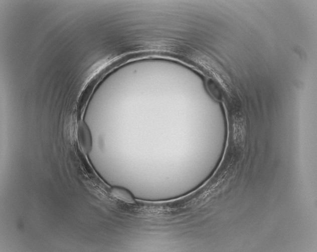 X0000115441069200912020940