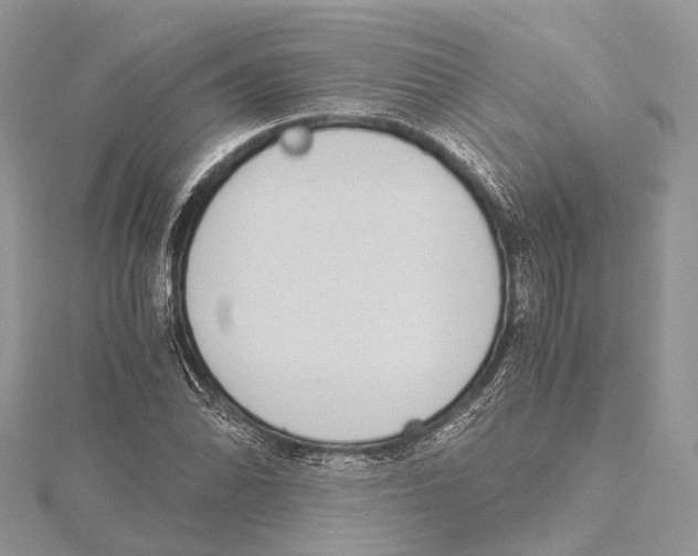 X0000115441070200912020940