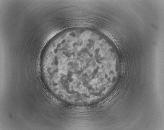 X0000115441071200912020940