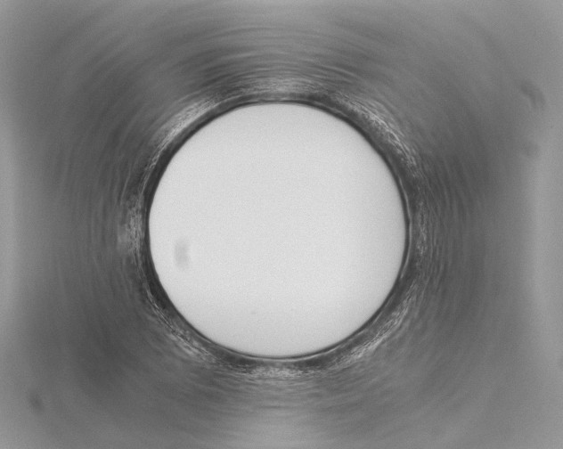 X0000115441073200912020940