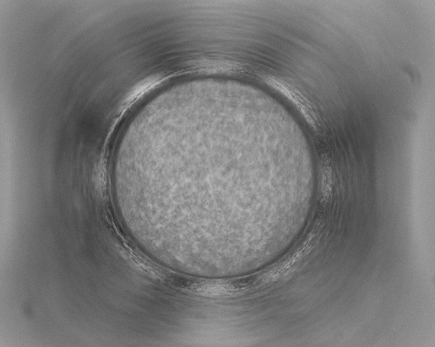 X0000115441074200912020940