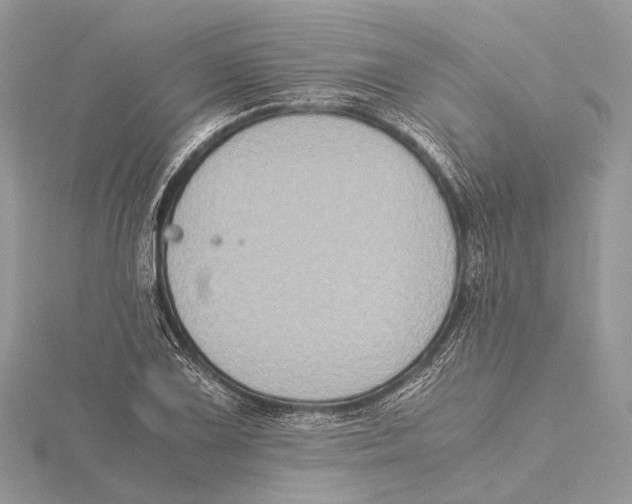 X0000115441075200912020940