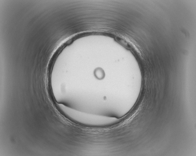 X0000115441077200912020940