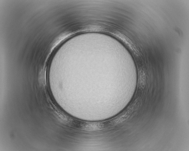 X0000115441078200912020940