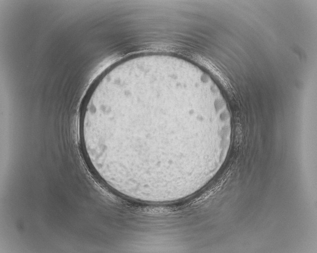 X0000115441079200912020940