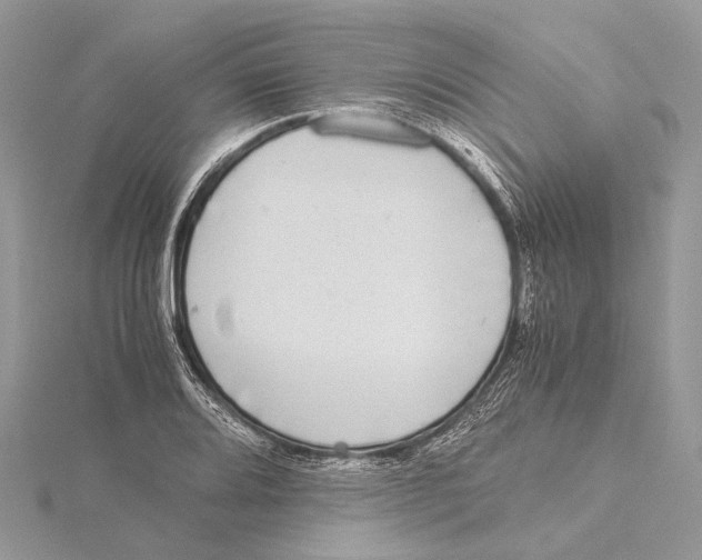 X0000115441080200912020940