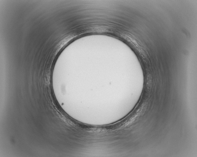 X0000115441081200912020940