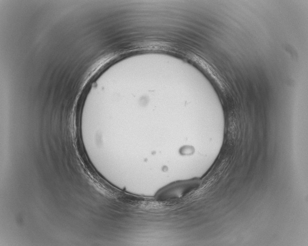 X0000115441082200912020940