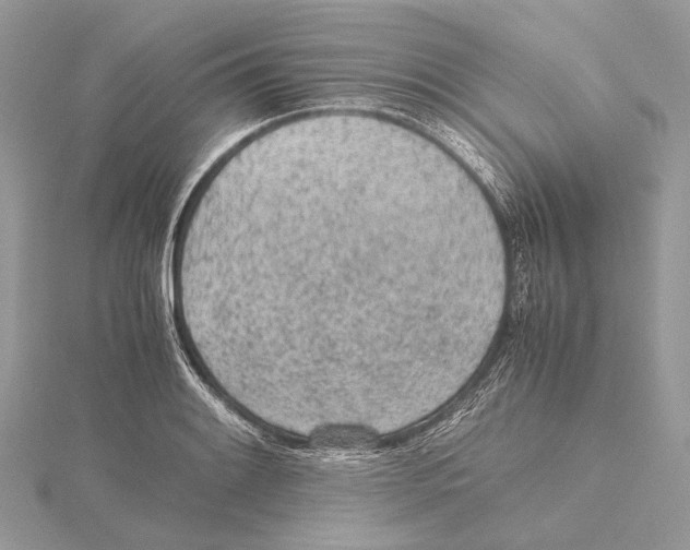 X0000115441084200912020940