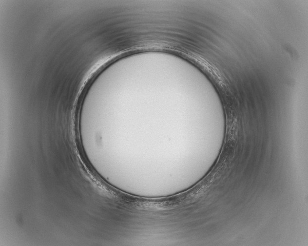 X0000115441086200912020940