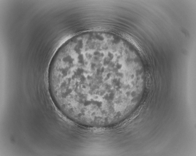 X0000115441087200912020940