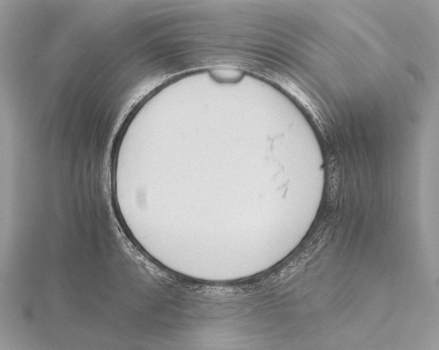 X0000115441088200912020940