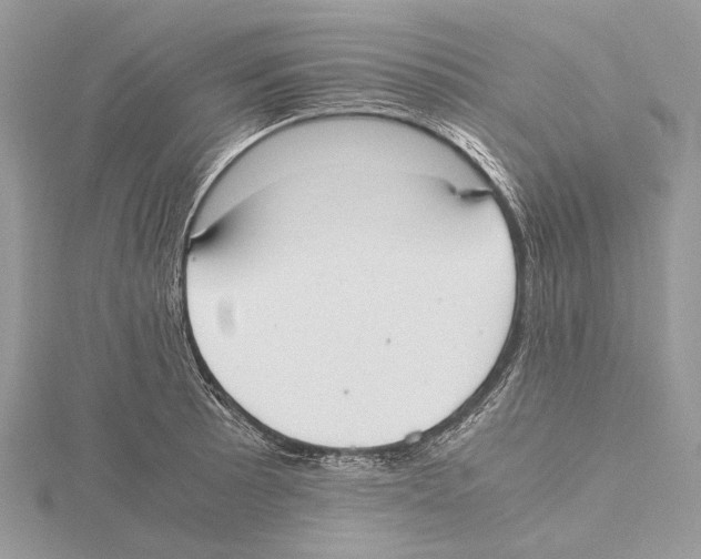 X0000115441089200912020940