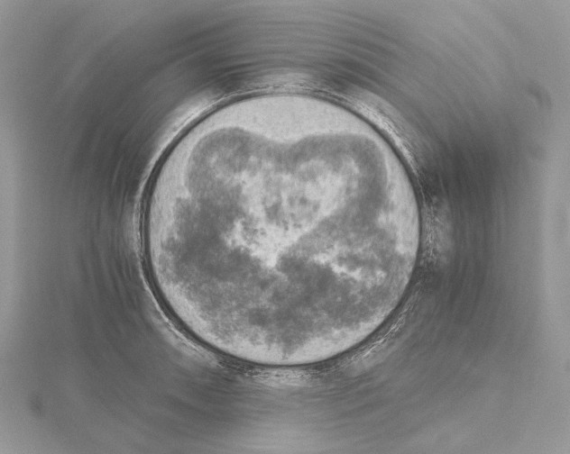 X0000115441090200912020940