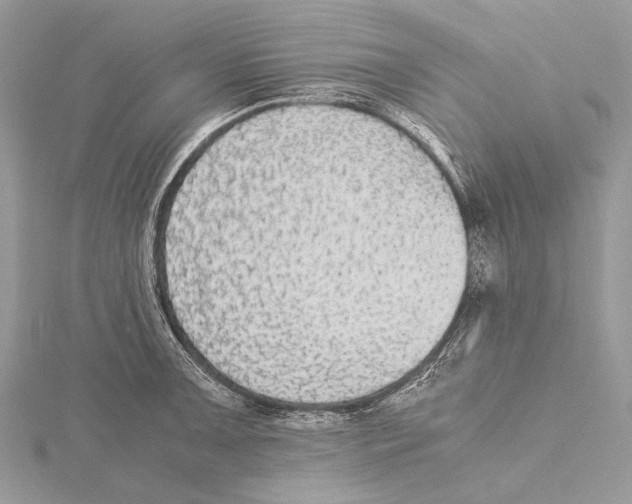 X0000115441091200912020940