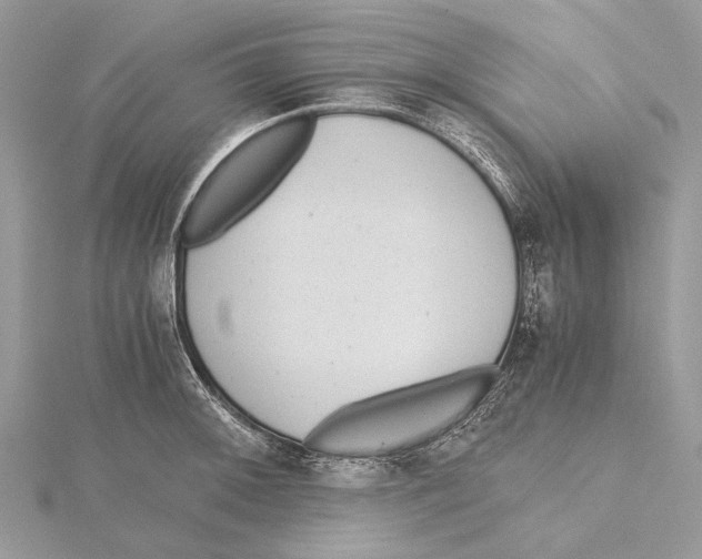 X0000115441092200912020940