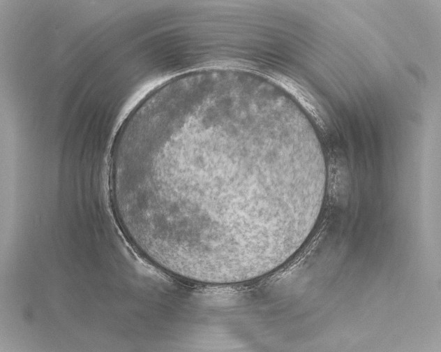 X0000115441094200912020940