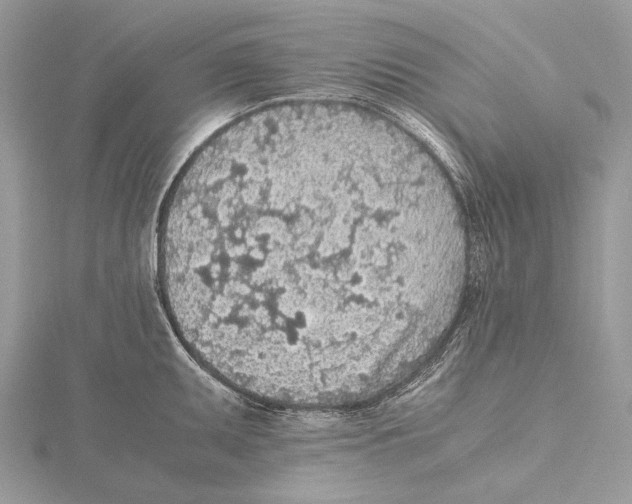 X0000115441095200912020939