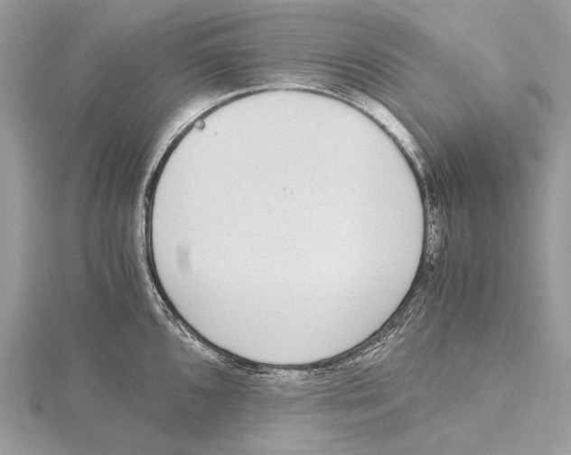 X0000115441096200912020939