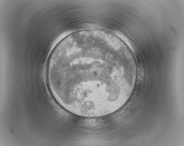 X0000115441098200912020939