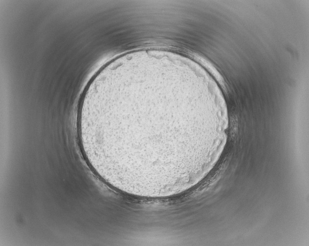 X0000115441099200912020939