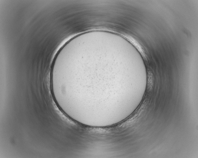 X0000115441100200912020939