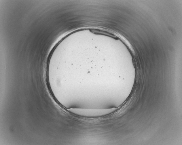 X0000115441101200912020939