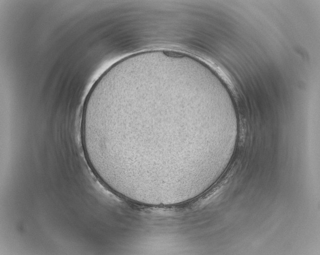 X0000115441102200912020939