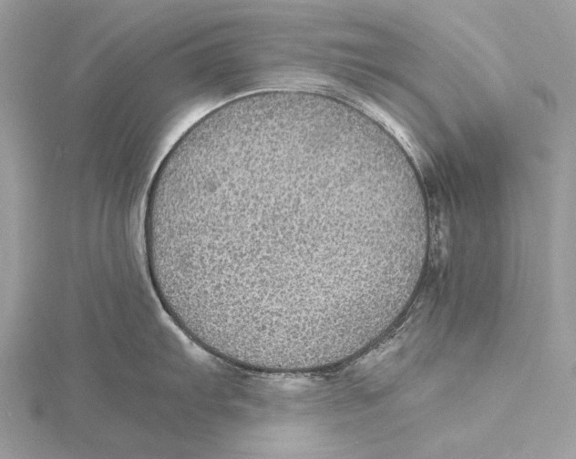 X0000115441103200912020939