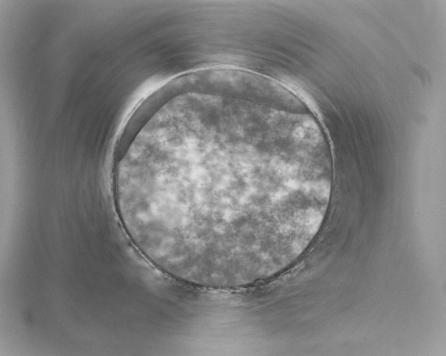 X0000115441104200912020939