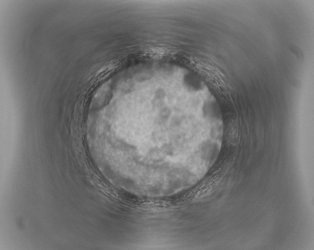 X0000115441105200912020939