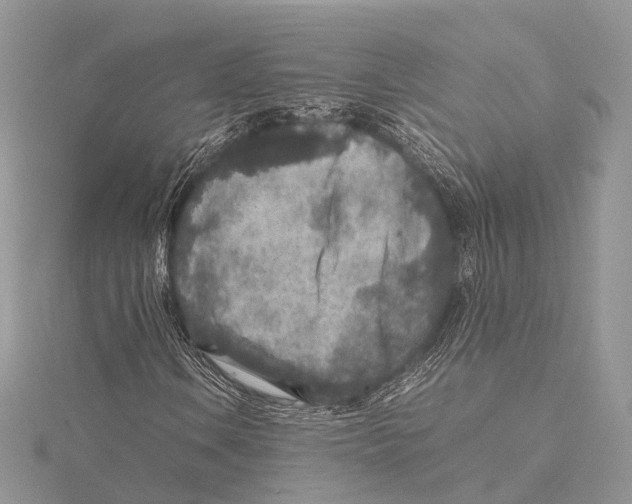 X0000115441106200912020939