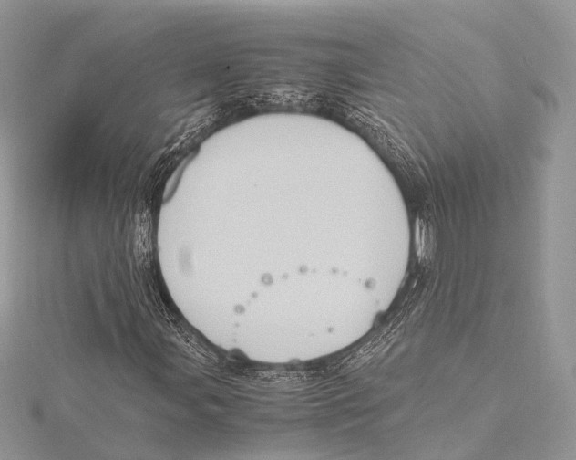 X0000115441107200912020939