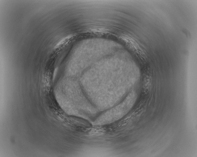 X0000115441110200912020939