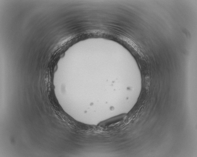 X0000115441111200912020939