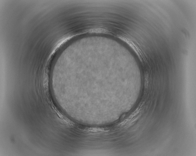 X0000115441115200912020939